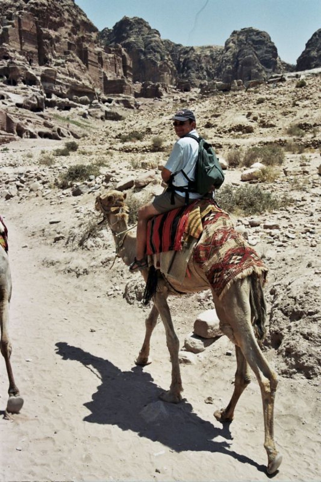 Camel trek back to the Treasury.